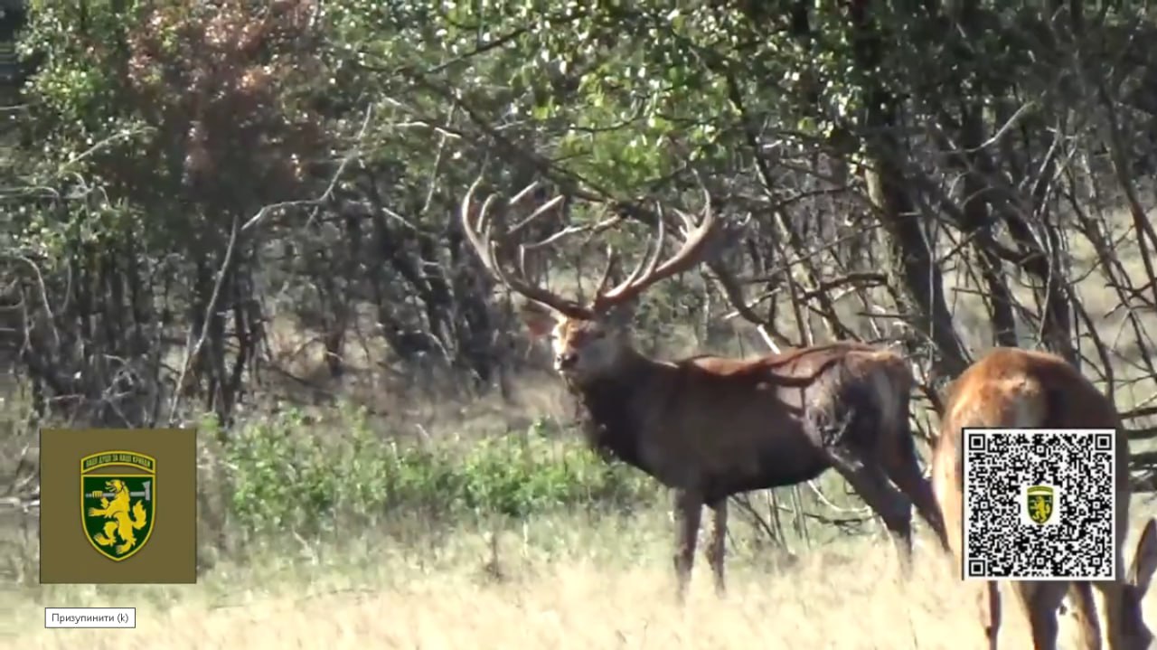 photo_2024-11-01_15-26-41