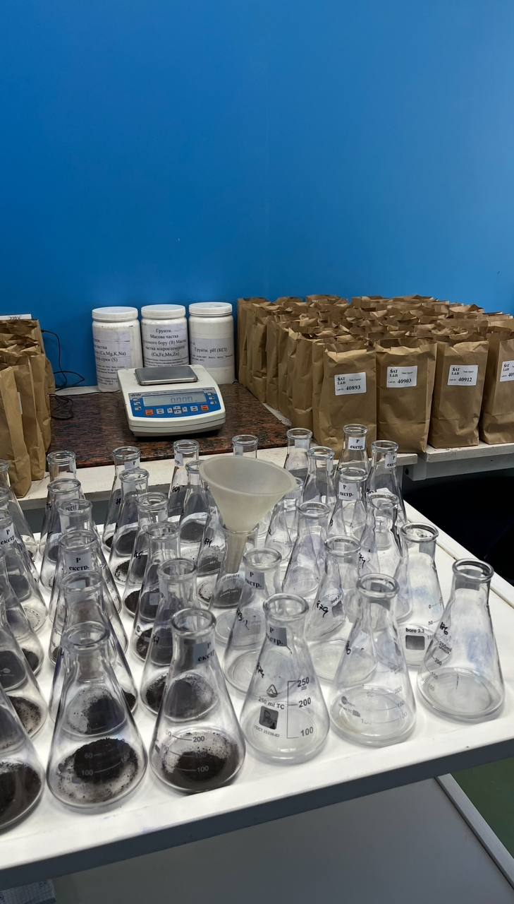 photo_2024-12-24_20-26-20