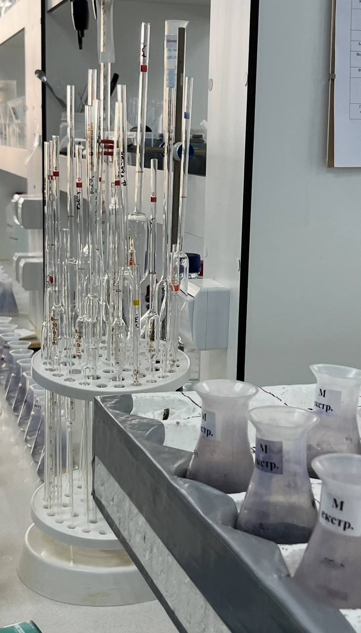 photo_2024-12-24_20-26-23