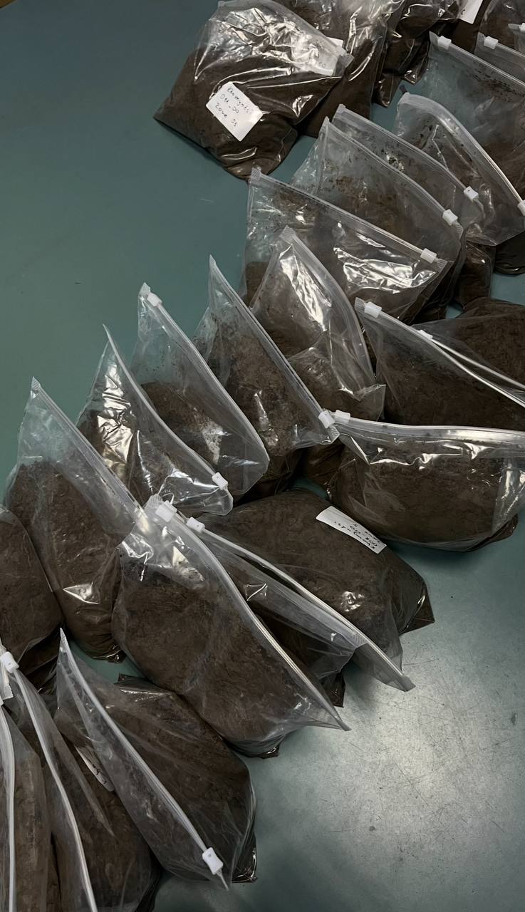 photo_2024-12-24_20-26-25