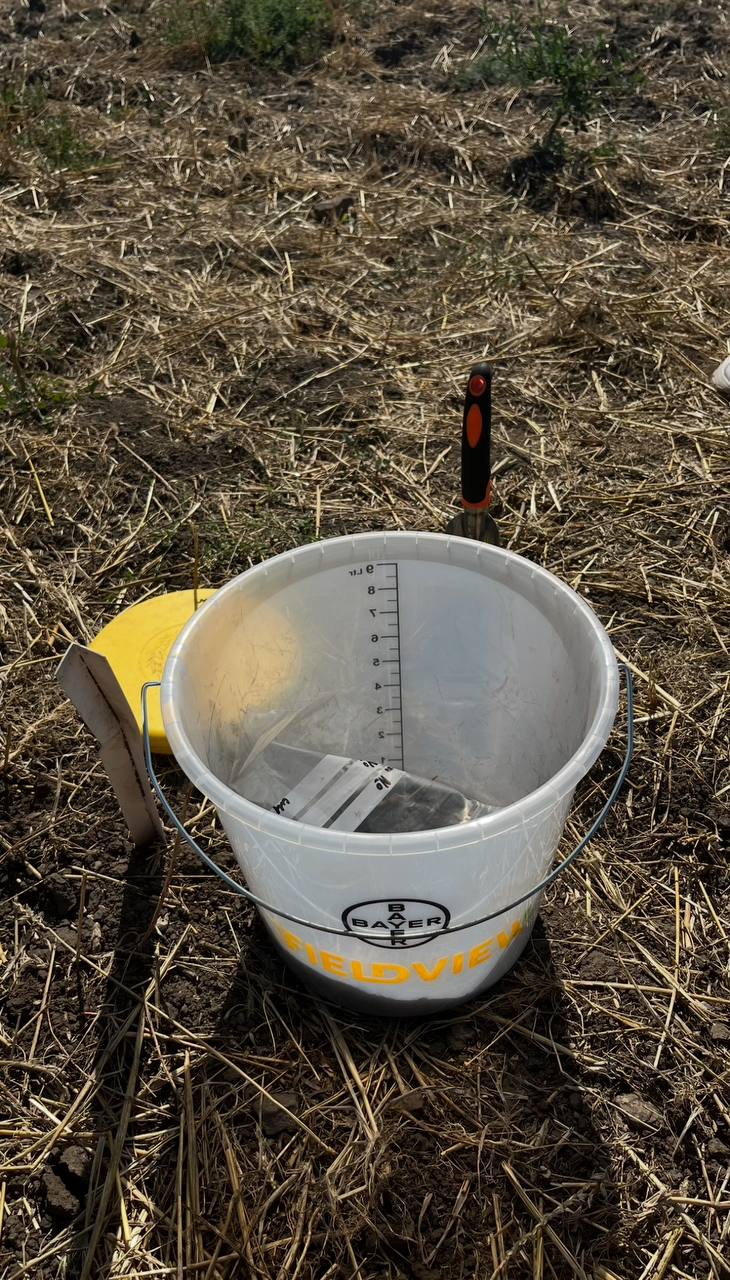 photo_2024-12-24_20-26-29