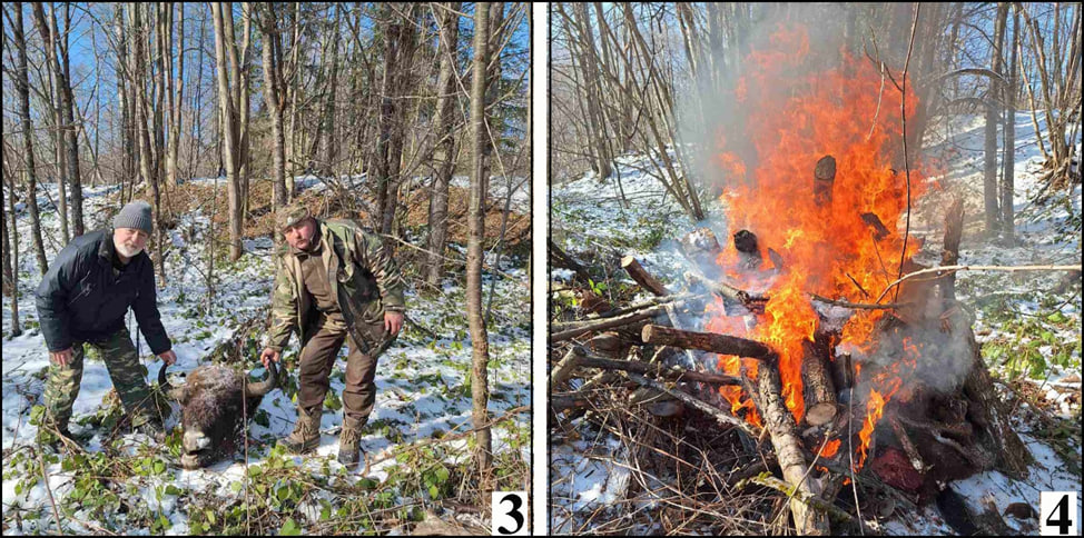 photo_2025-02-25_21-10-08