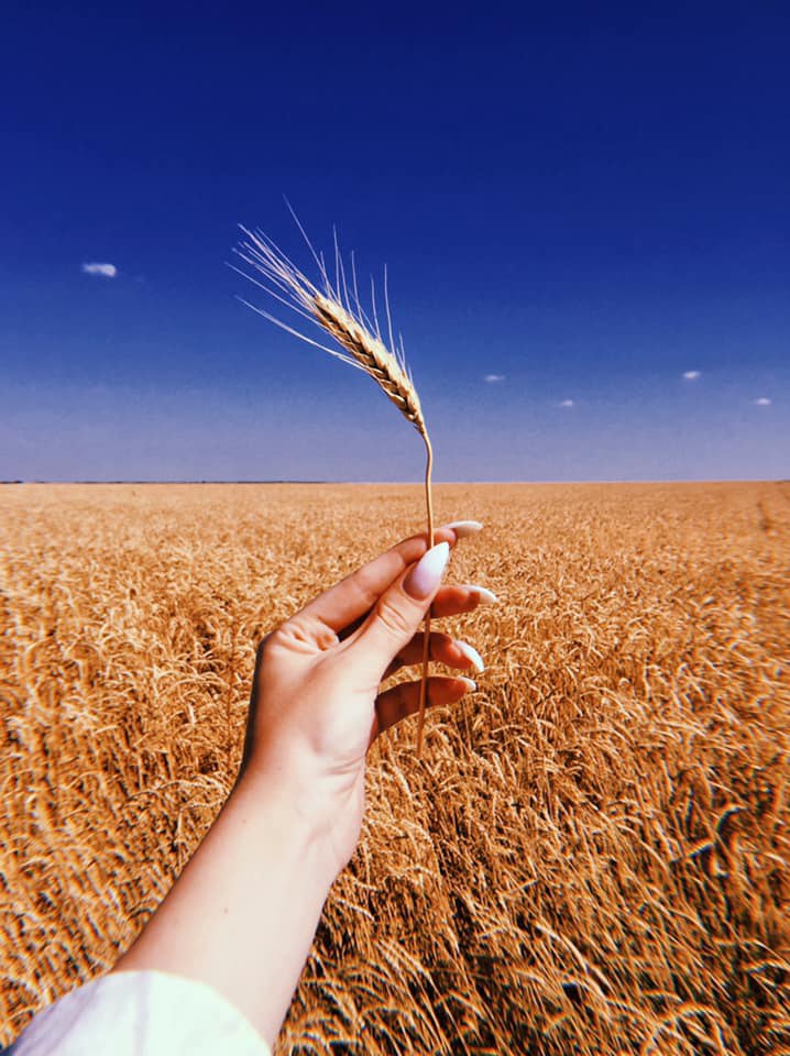 photo_2025-06-09_22-49-14 (2)