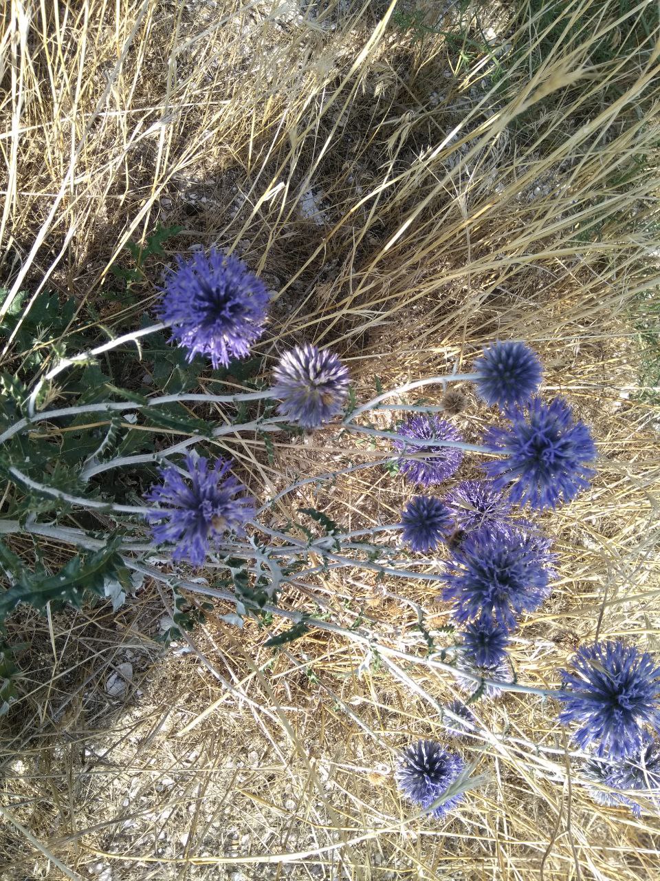 photo_2025-07-09_19-10-24