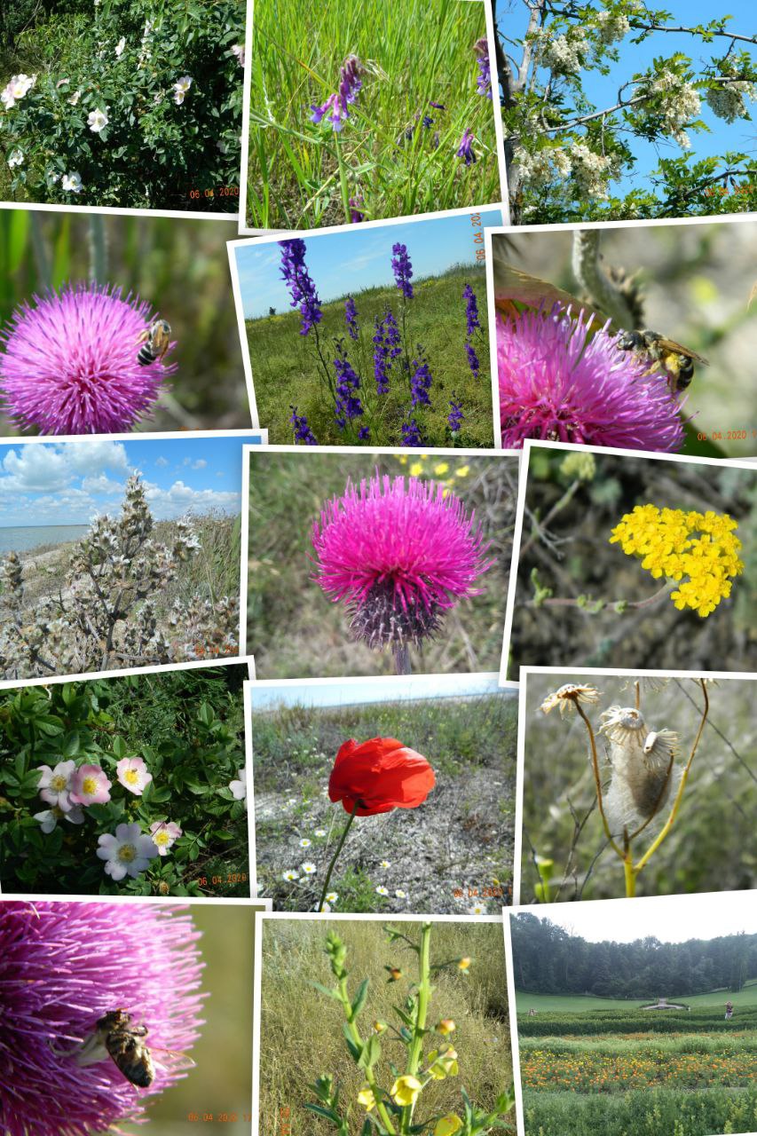 photo_2025-07-11_13-14-44