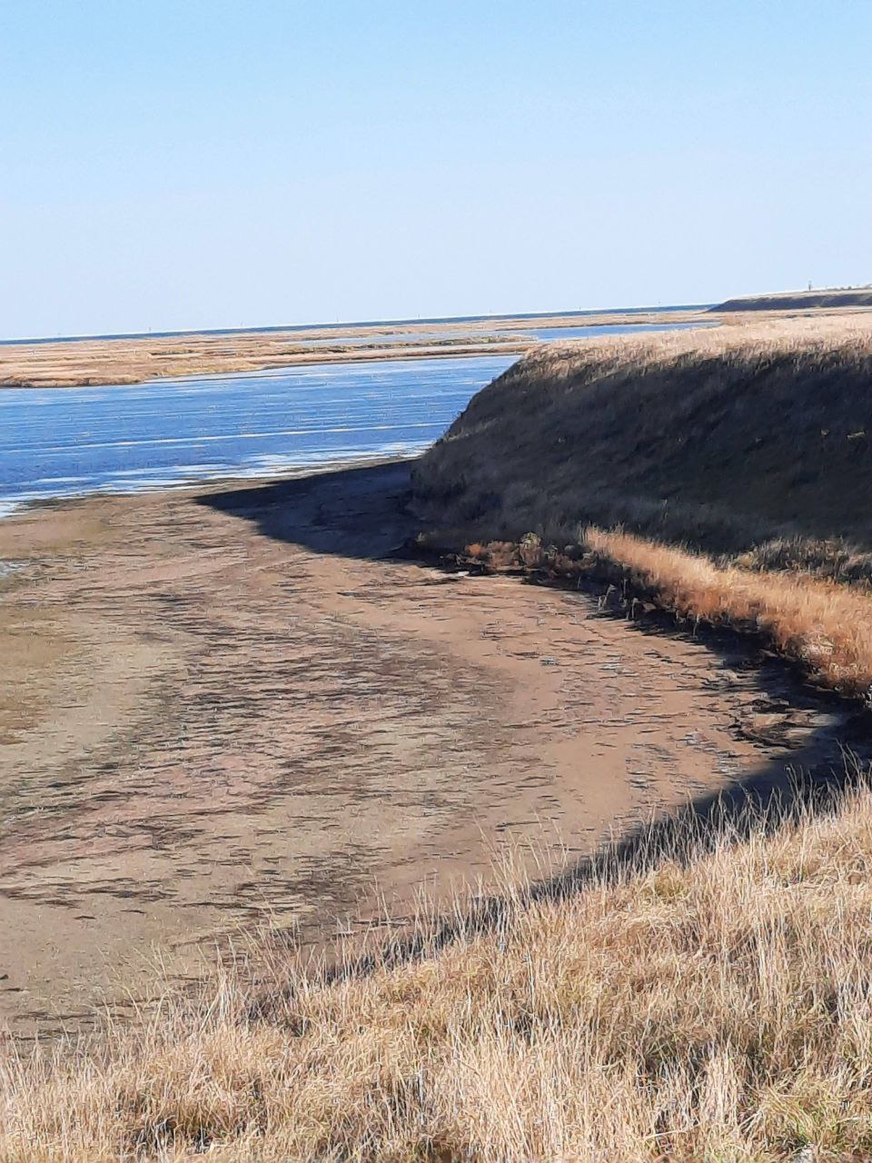 photo_2025-08-15_21-15-37 (2)