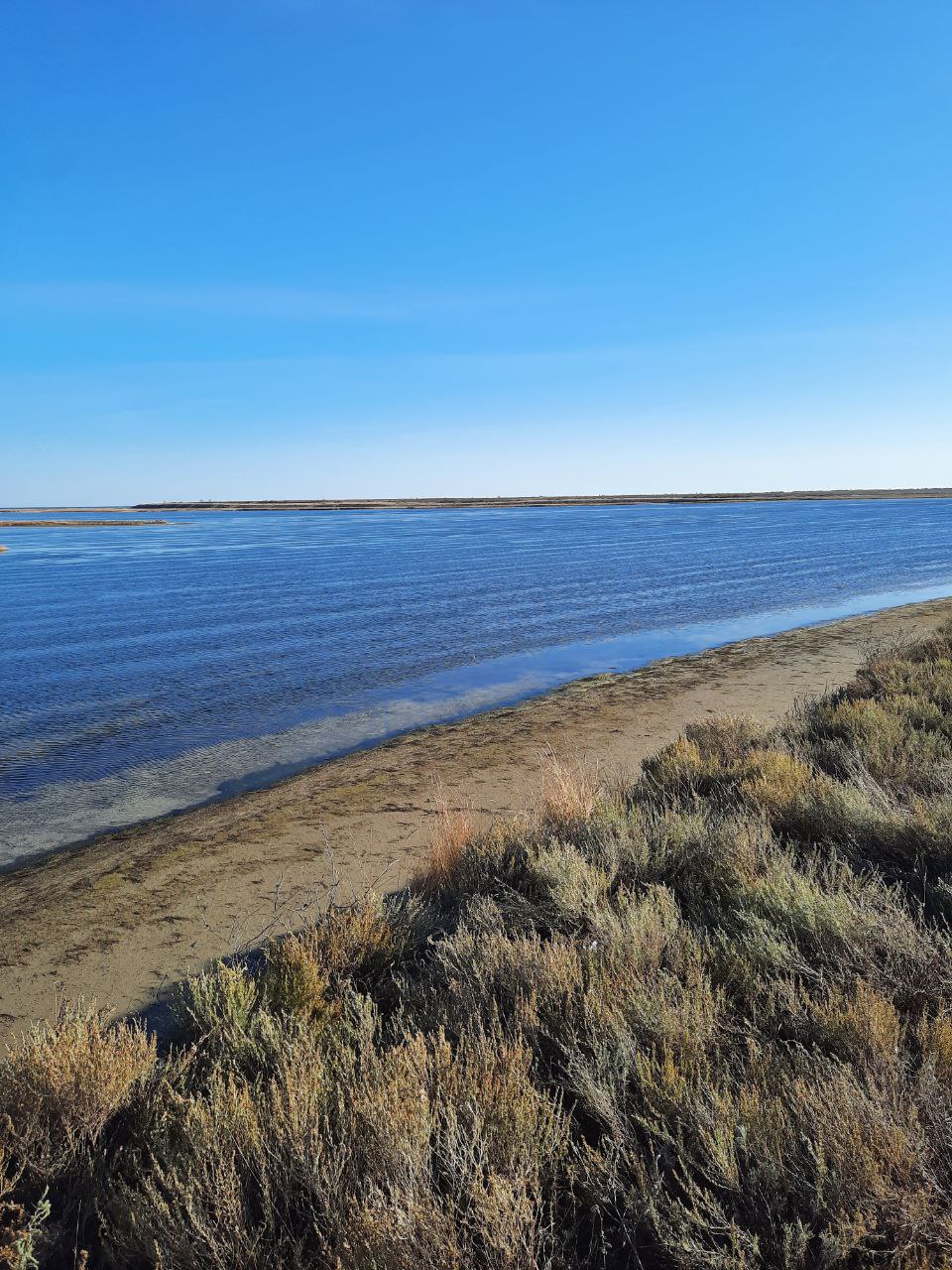 photo_2025-08-15_21-15-37
