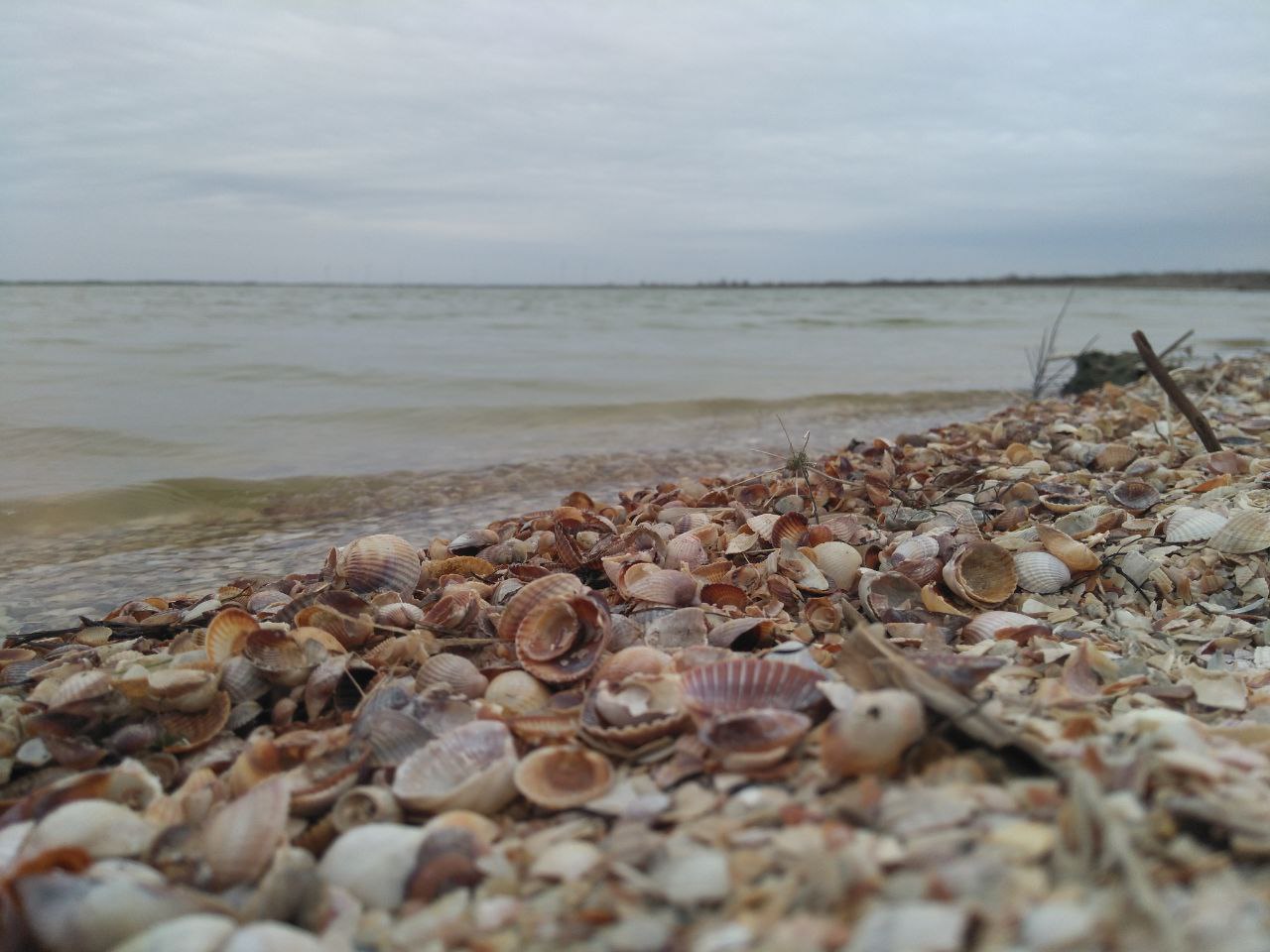 photo_2025-08-15_21-15-38