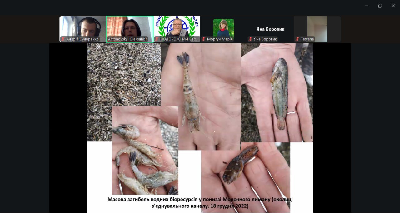 photo_2025-10-30_22-39-07 (2)