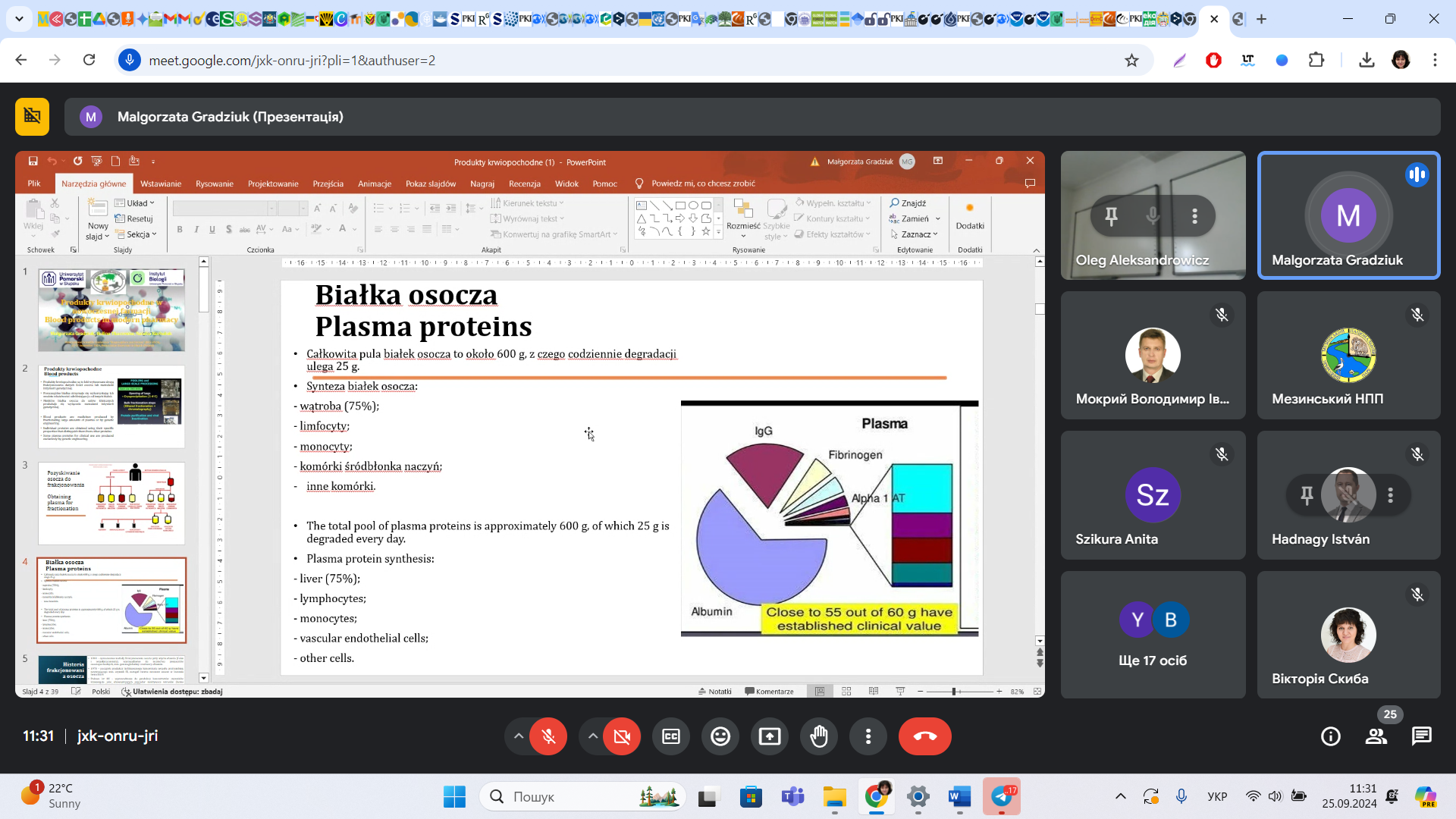 Screenshot 2024-09-25 113123