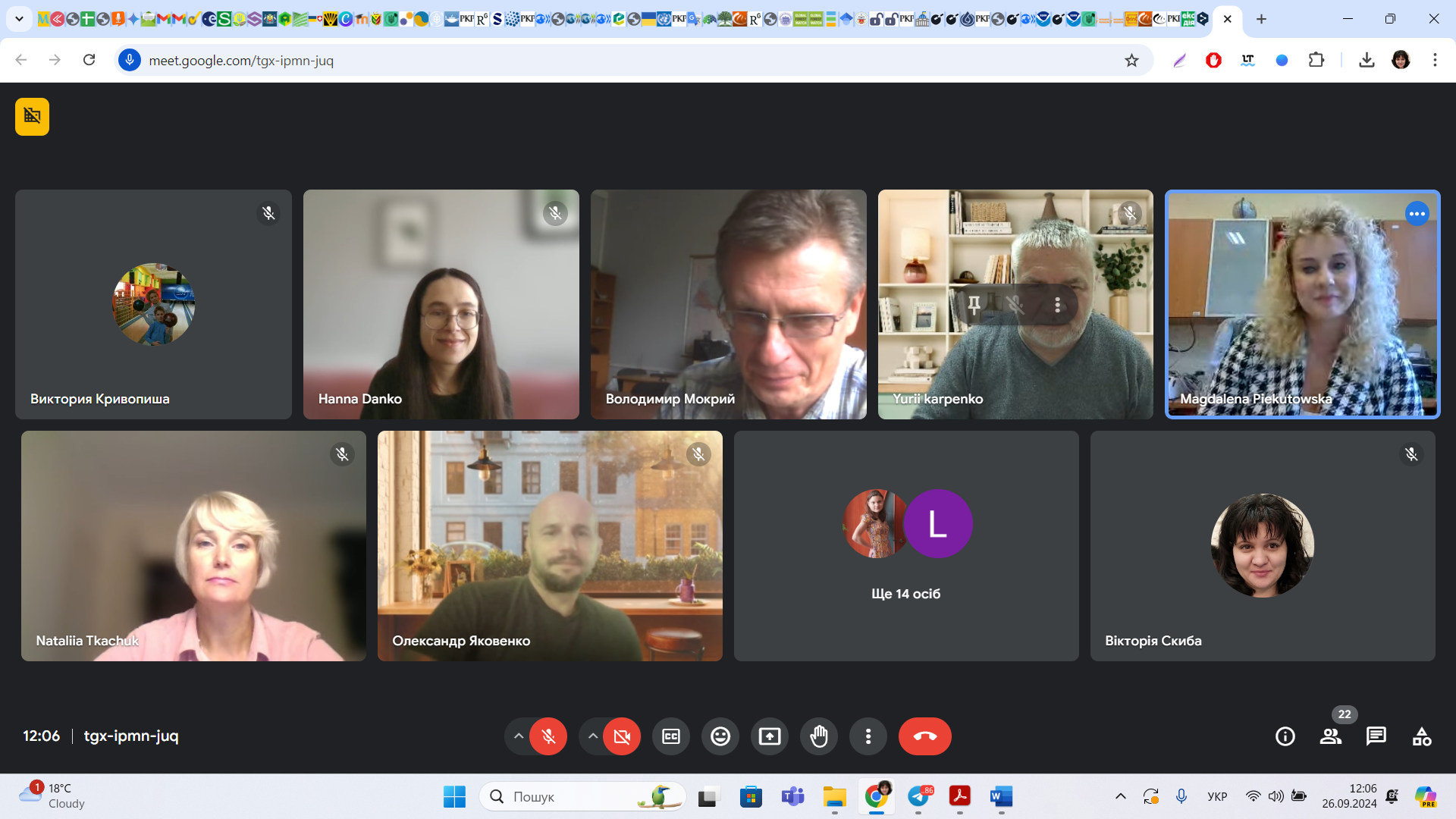 Screenshot 2024-09-26 120620