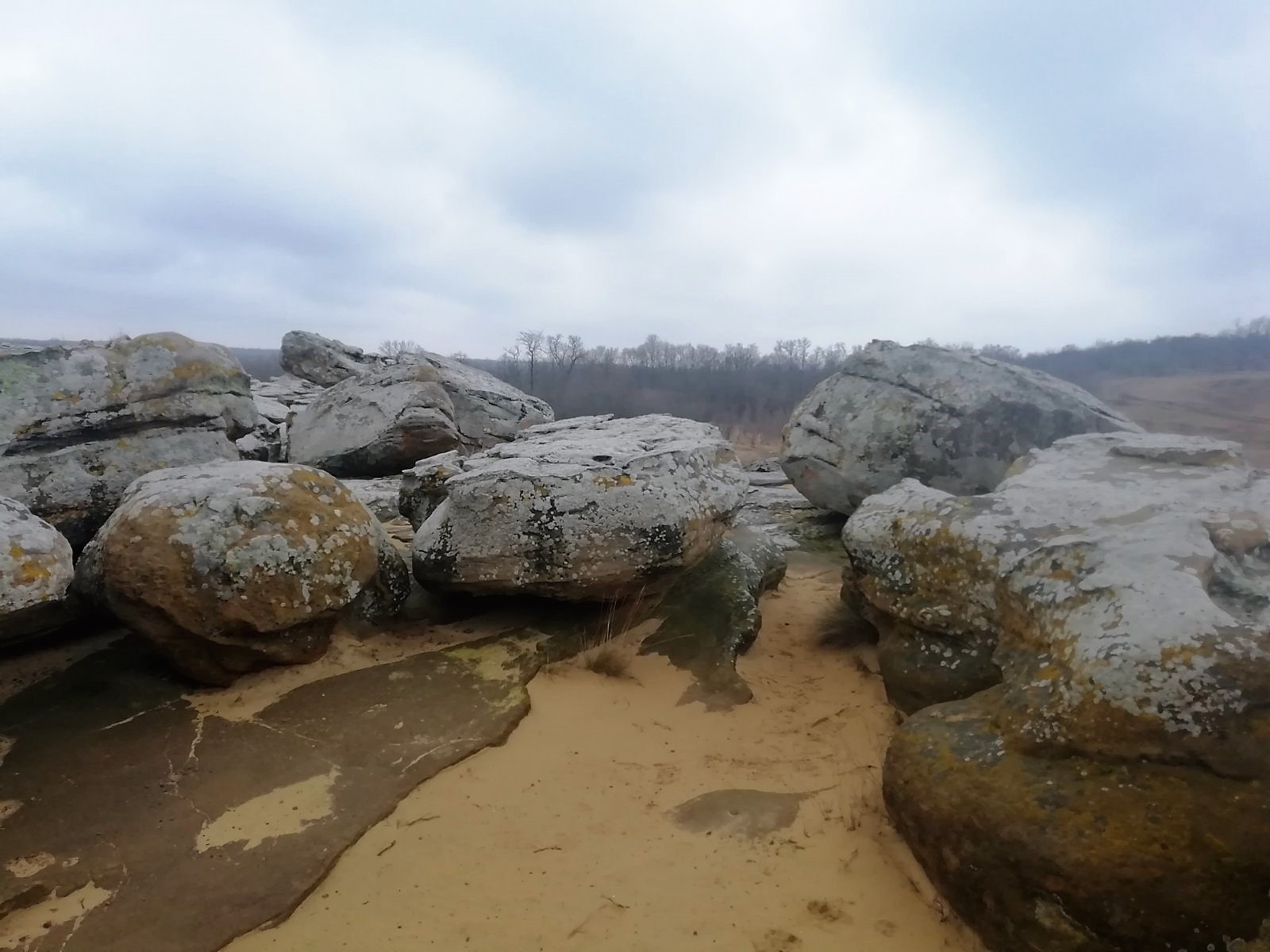 изображение_viber_2021-03-01_17-50-18