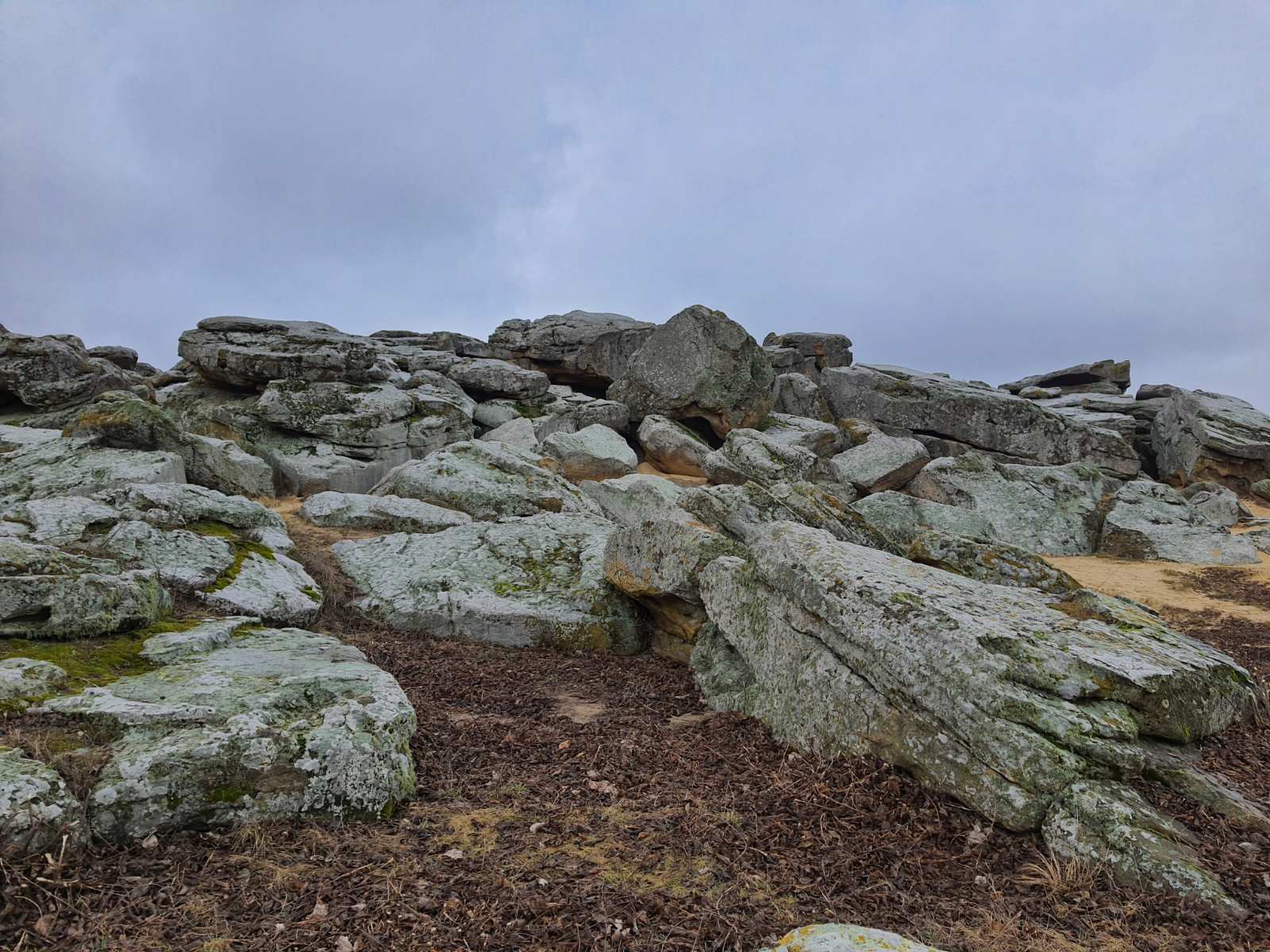 изображение_viber_2021-03-01_18-14-585