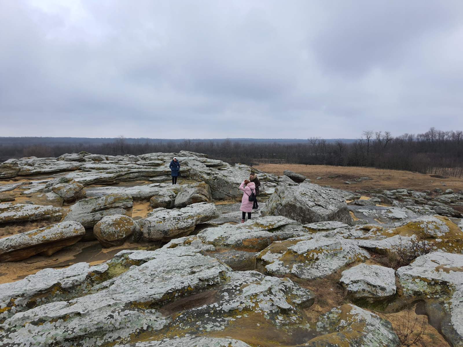 изображение_viber_2021-03-01_18-14-587