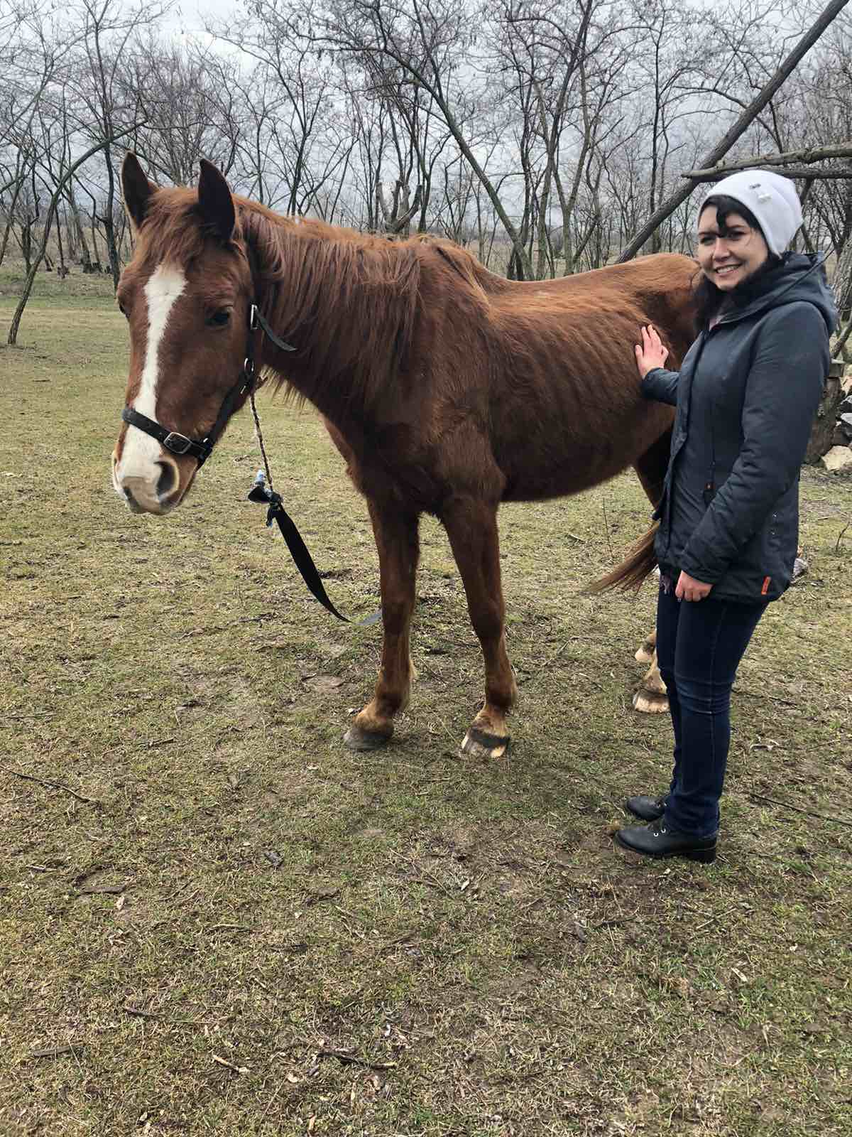 изображение_viber_2021-03-25_14-18-10