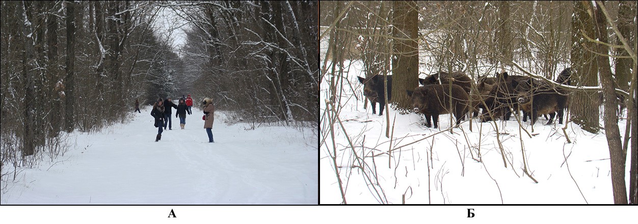 Значення Таврійського державного агротехнологічного університету імені Дмитра Моторного для розвитку мисливського господарства України 5