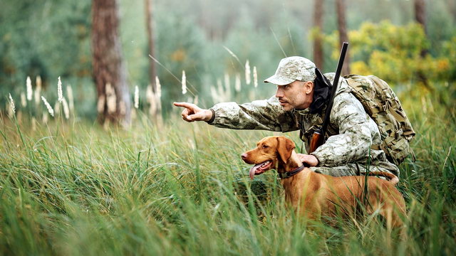 Значення Таврійського державного агротехнологічного університету імені Дмитра Моторного для розвитку мисливського господарства України1