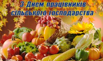 da3dd9e0dfc073a9278eecf902a909a6_XL