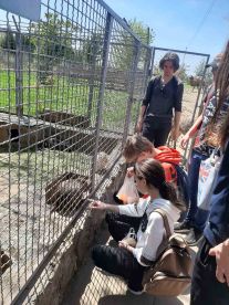 екскурсія Страус-Юг 15052021 (3)