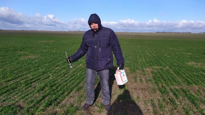 Викл_труєння мишей (1)