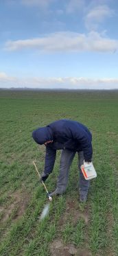 Викл_труєння мишей (2)