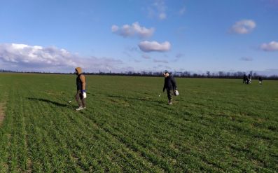 Викл_труєння мишей (3)