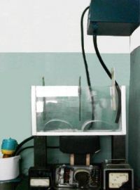 Безымянный