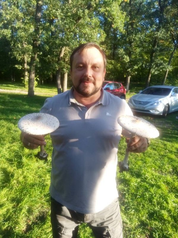 IMG-81a6108e304d9bc05cea1ad290d9cf4e-V