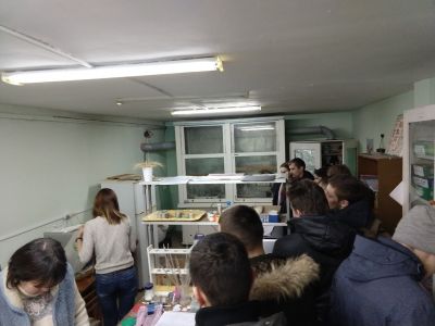 viber image 2019-02-06 , 09.50.14