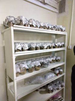 viber image 2019-02-06 , 09.50.24