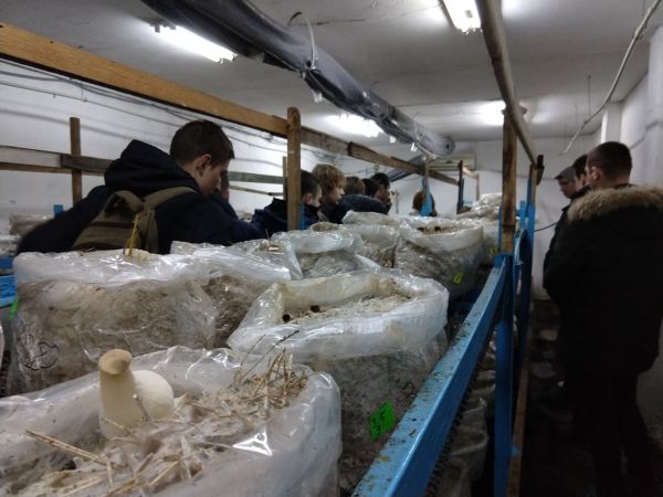 viber image 2019-02-06 , 09.50.31