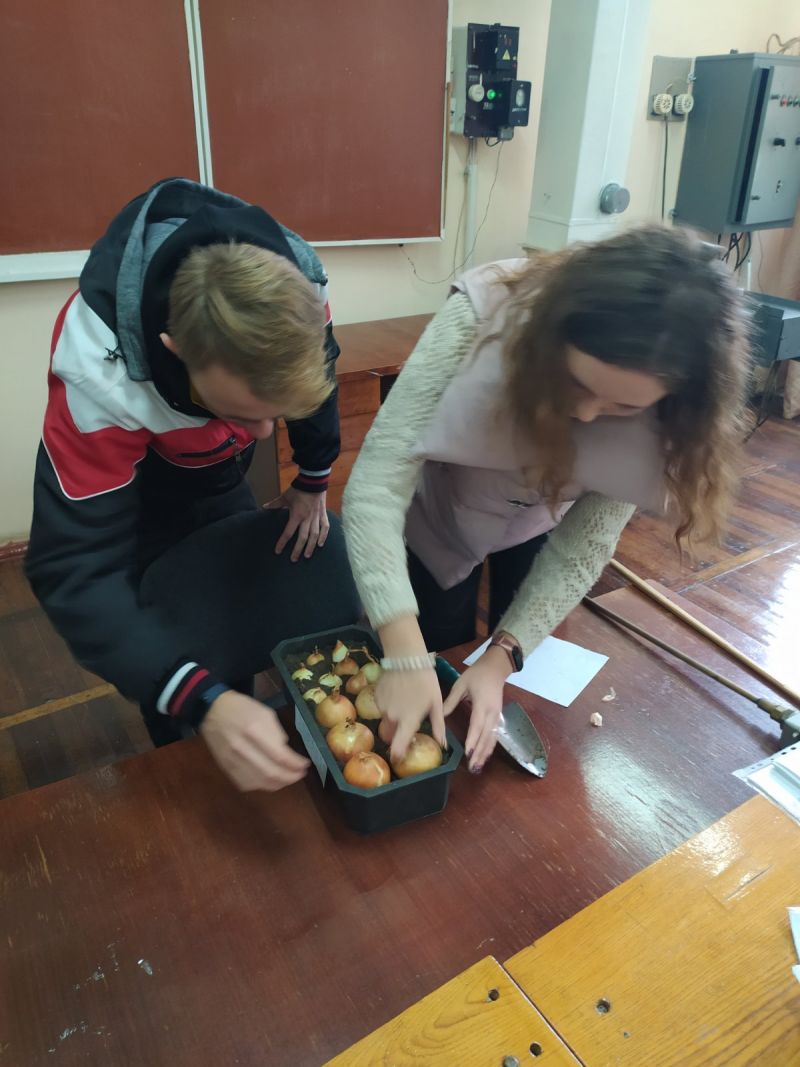 изображение_viber_2020-10-28_14-01-30