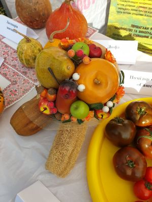 IMG-25820bad70c6b47b7855a760ec5d490a-V