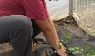 IMG-4e88dee39e5765967256b34dadbc80be-V