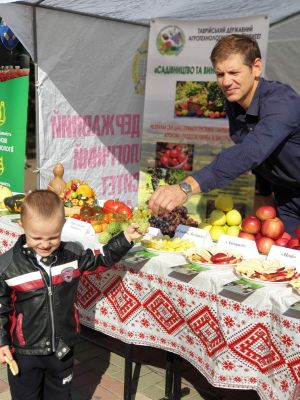 IMG-944faa6e6a51b325db188dac44e89d29-V