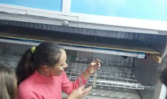 IMG-a031ad3a9bde9b2b1fcccf5ebf77d31f-V