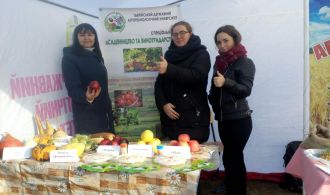 IMG-a1678c508adf48cbf5b37813dd8e3bfc-V