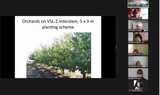 Новый точечный рисунок