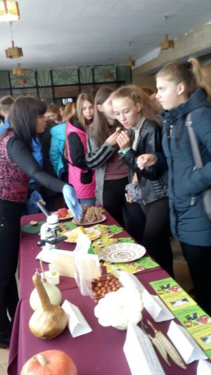 photo_2018-10-23_20-31-43