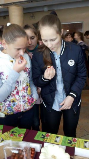 photo_2018-10-23_20-31-56