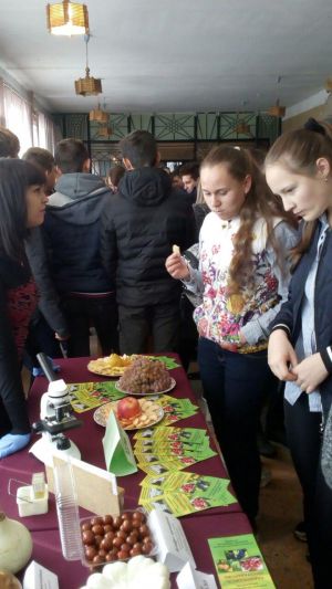 photo_2018-10-23_20-32-03