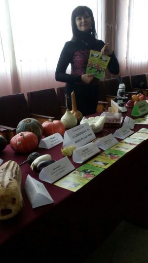 photo_2018-10-23_20-32-19