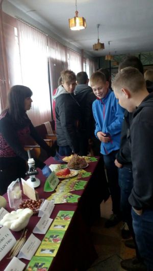 photo_2018-10-23_20-32-37