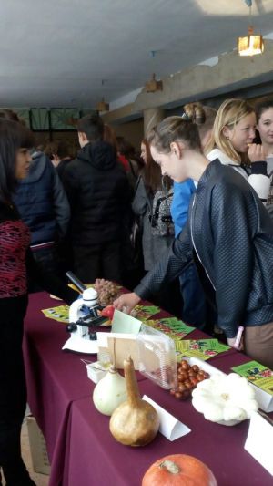 photo_2018-10-23_20-32-44