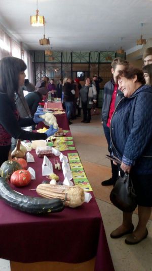 photo_2018-10-23_20-32-49