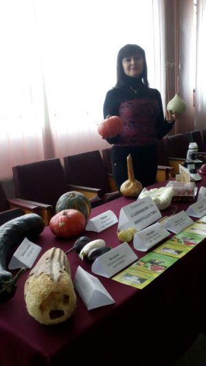 photo_2018-10-23_20-33-09