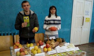 photo_2018-11-20_20-07-28