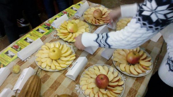 photo_2018-11-20_20-07-39