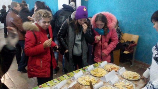 photo_2018-11-20_20-08-17