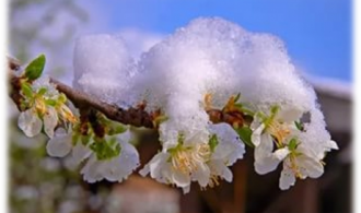 изображение_2021-03-23_215147